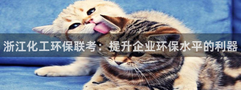 亿万网络科技有限公司：浙江化工环保联考：提升企业环保水平的利器
