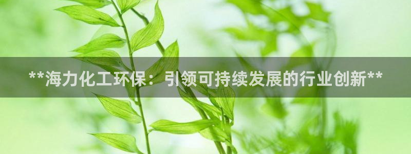 电影亿万：**海力化工环保：引领可持续发展的行业创新**
