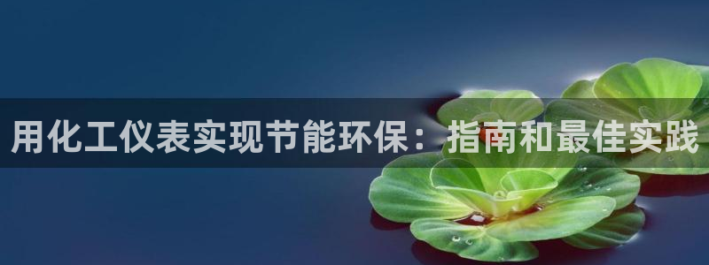 亿万网友在线解答：用化工仪表实现节能环保：指南和最佳实践