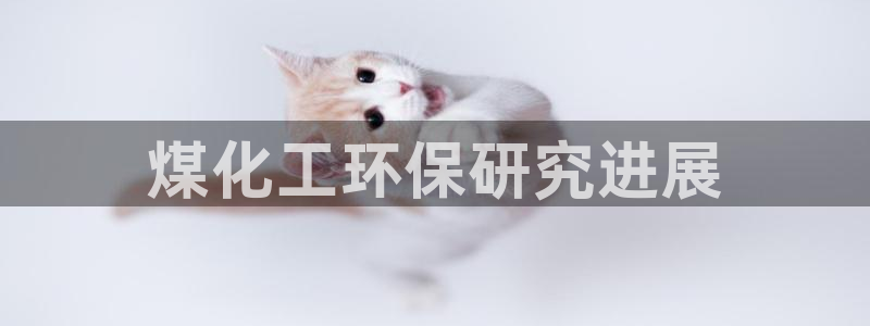 亿万先生mr01官网 - 亿万先生手机版入：煤化工环保研究进展
