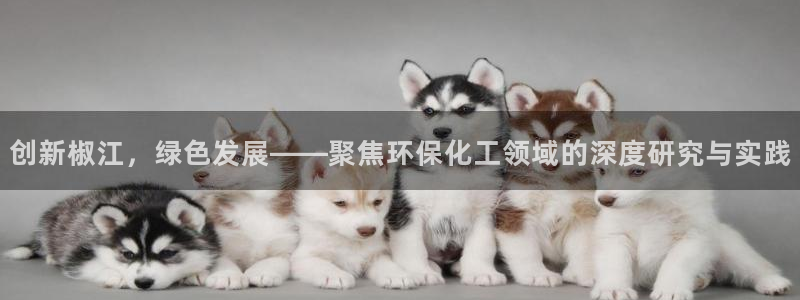 亿万先生mr008：创新椒江，绿色发展——聚焦环保化工领域的深度研究与实践