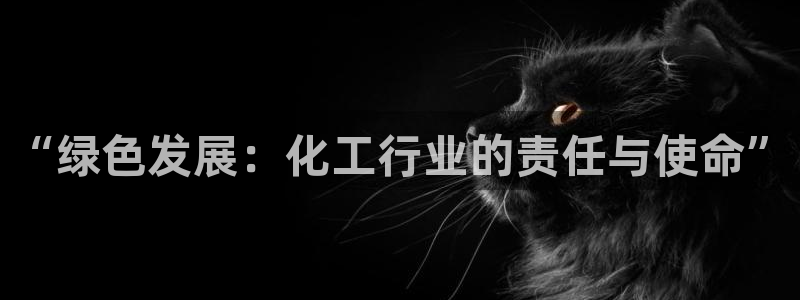 亿万网络科技有限公司ceo：“绿色发展：化工行业的责任与使命”