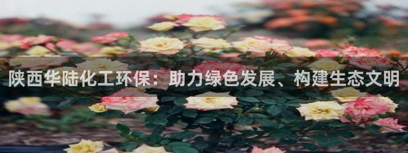 亿万先生 手机版下载：陕西华陆化工环保：助力绿色发展、构建生态文明
