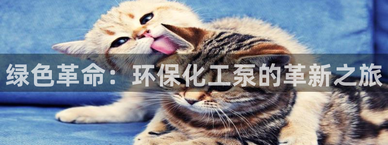 亿万先生客户端官网首页：绿色革命：环保化工泵的革新之旅
