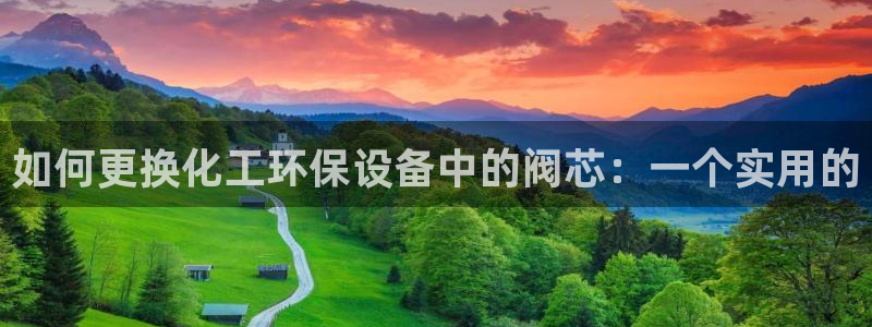 亿万先生网页版登录：如何更换化工环保设备中的阀芯：一个实用的