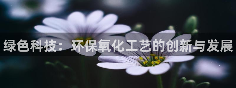 亿万先生mr07：绿色科技：环保氧化工艺的创新与发展