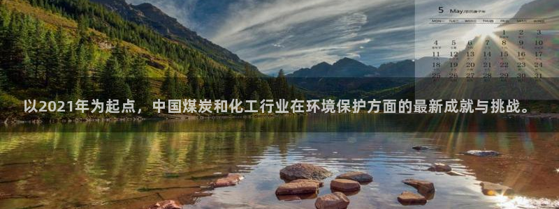 亿万网络科技有限公司ceo：以2021年为起点，中国煤炭和化工行业在环境保护方面的最新成就与挑战。