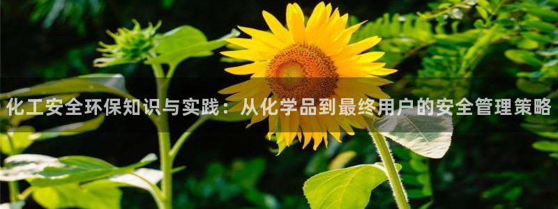 亿万先生合并网址是什么：化工安全环保知识与实践：从化学品到最终用户的安全管理策略