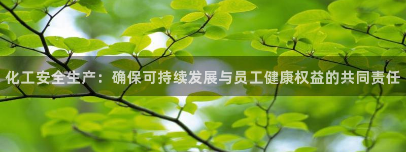 mr8001亿万先生：化工安全生产：确保可持续发展与员工健康权益的共同责任