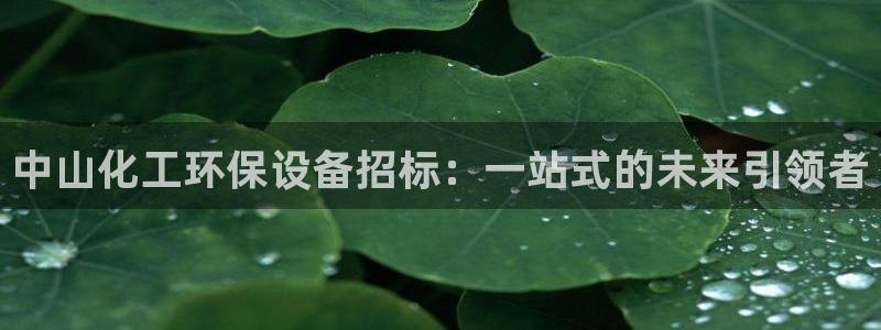 亿万先生手机网页：中山化工环保设备招标：一站式的未来引领者