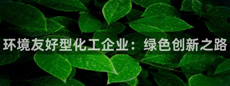 亿万先生：环境友好型化工企业：绿色创新之路