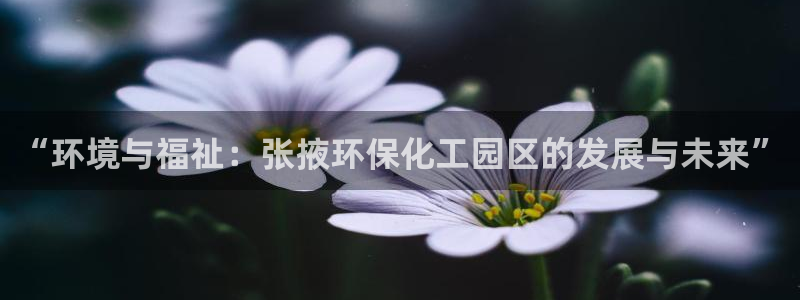 亿万先生客户端官网登录不了：“环境与福祉：张掖环保化工园区的发展与未来”