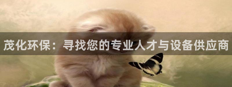 亿万先生网页在线客服：茂化环保：寻找您的专业人才与设备供应商