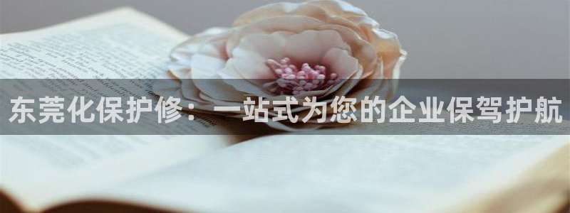 亿万先生mr01官网 - 亿万先生手机版入：东莞化保护修：一站式为您的企业保驾护航