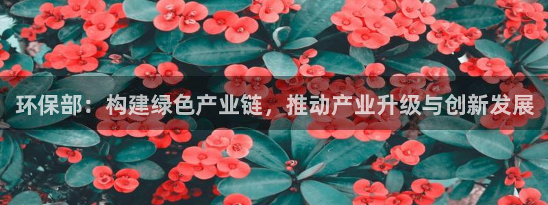 亿万先生官方网站下载：环保部：构建绿色产业链，推动产业升级与创新发展
