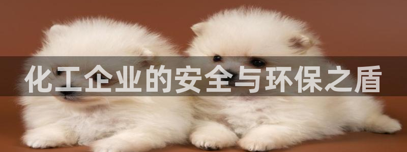 亿万先生网站下载：化工企业的安全与环保之盾
