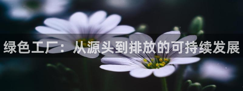 亿万先生官方网站首页：绿色工厂：从源头到排放的可持续发展