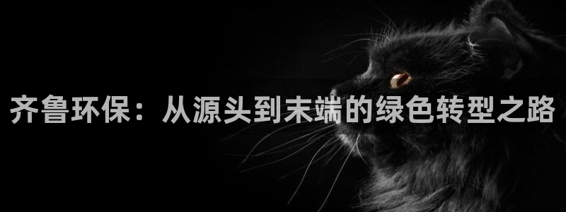 亿万先生官方网站客户端下载安装最新版：齐鲁环保：从源头到末端的绿色转型之路