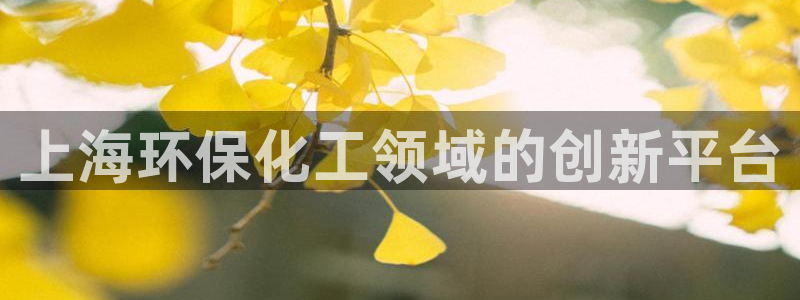 亿万问答：上海环保化工领域的创新平台