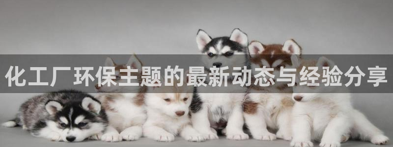 亿万手游官网网址