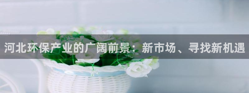 亿万先生网站：河北环保产业的广阔前景：新市场、寻找新机遇