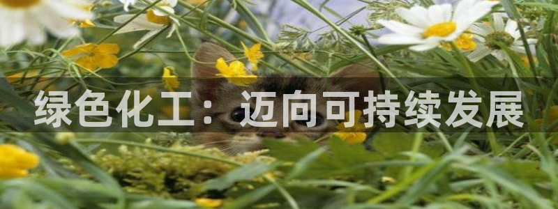 亿万先生充电桩：绿色化工：迈向可持续发展