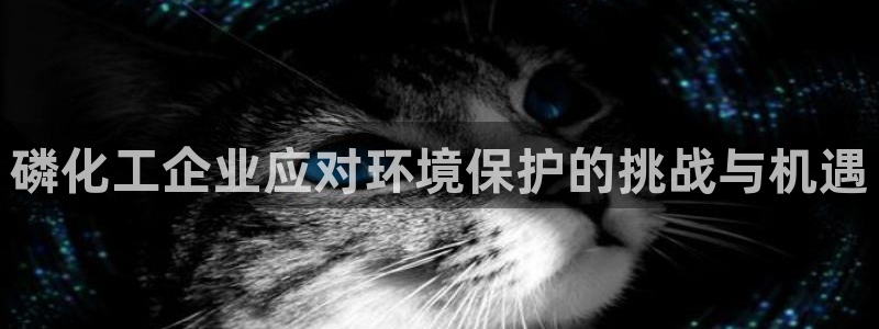 亿万手游平台官网入口：磷化工企业应对环境保护的挑战与机遇