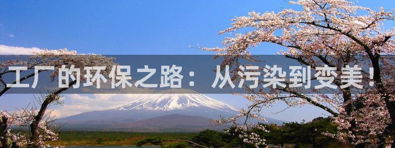 亿万app下载：工厂的环保之路：从污染到变美！