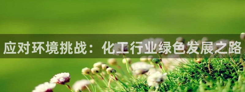 亿万城市手游官网：应对环境挑战：化工行业绿色发展之路