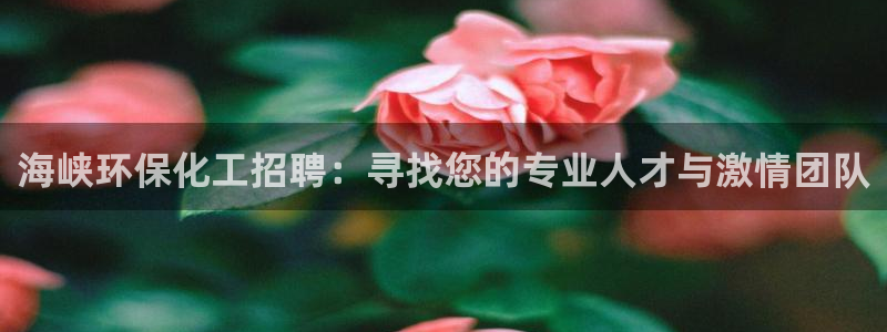 亿万先生mr014：海峡环保化工招聘：寻找您的专业人才与激情团队