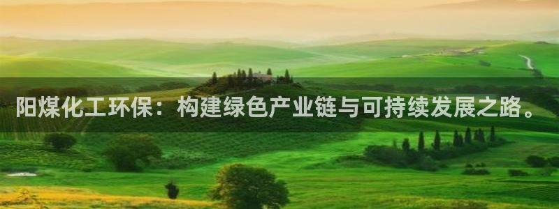 亿万千百十：阳煤化工环保：构建绿色产业链与可持续发展之路。