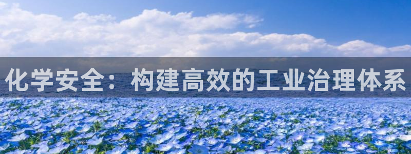 电影 亿万：化学安全：构建高效的工业治理体系