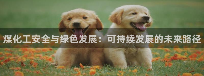 亿万先生换网址了吗知乎：煤化工安全与绿色发展：可持续发展的未来路径