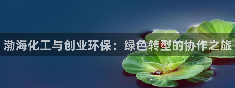 亿万手游官网：渤海化工与创业环保：绿色转型的协作之旅