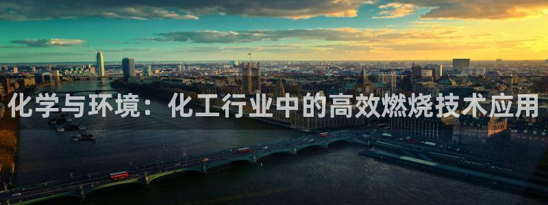 亿万剧情详解:化学与环境:化工行业中的高效燃烧技术应用