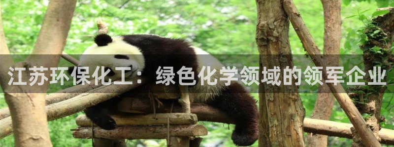 亿万网友在线解答：江苏环保化工：绿色化学领域的领军企业