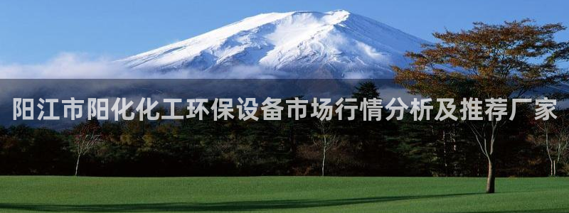 亿万网友在线实时为您解答：阳江市阳化化工环保设备市场行情分析及推荐厂家