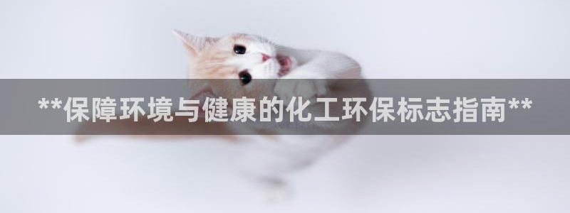 亿万先生网站下载：**保障环境与健康的化工环保标志指南**