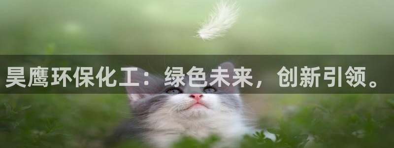 亿万先生客服联系方式查询：昊鹰环保化工：绿色未来，创新引领。