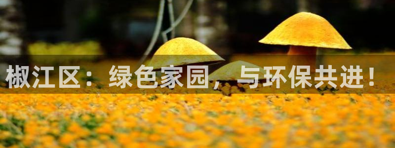 亿万剧情介绍：椒江区：绿色家园，与环保共进！