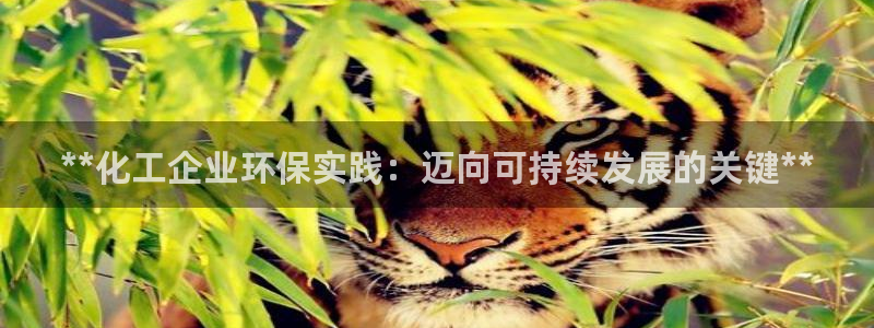 亿万先生客服：**化工企业环保实践：迈向可持续发展的关键**
