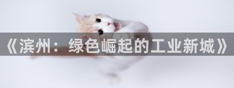 亿万先生网页版：《滨州：绿色崛起的工业新城》